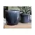 Jewel 4.5" Freeform Pot Nbl