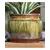 Jewel 6.5" Self Watering Pot Rnf