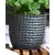Palm Spring 5.5" Honey Comb Planter Sgy