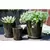 Verandah 4.5" Lilac Sz B Tgn