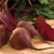 Beets, Lutz Red Stem 1/2oz