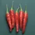 Peppers, Super Chili Hybrid 1000 Seed Count