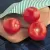 Tomato, Mountain Spring Hybrid 5000 Seed Count