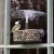 Droll Yankee 7"x3"x2" Observer Window Feeder