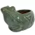 MCarr 13.4" Frog Planter Falling Green