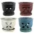 MCarr 12PC 5.5" 4 Petal Orchid Pot Mix Asst