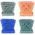 MCarr 6PC 7" Sq Diamond Orchid Pot Mixed Asst
