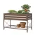 Panacea 32" Raised Planter With Liner Brown