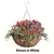 Austram 14" ProGro Planter with Wire Hanger Black