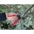 Corona 1" ClassicCUT Hand Pruner