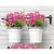 Panacea 16" Milkhouse Oval Vertical Gardening Wall Planter Kit With Expandable Bar Boxed