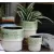 Jewel 7" Martini Pot SVM