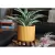 Palm Spring 8" Brush Comb Planter Mst