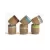 PHG Floret Succulent Cup Mixed Drift Glaze Set of 12