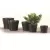 Scheurich 6" Anthracite 808/15 Planter