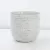PHG 4.5"x4.5" Pebble Beach Planter White Daisy 8/CS