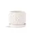 PHG 7.5"x6.5" Rain Drop Orchid Planter Sand Milky White