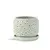 PHG 6"x5.5" Rain Drop Orchid Planter Sand Sage Green