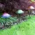 E-V LunaLite Mushroom Dual Purpose Light Asst