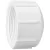 2" Cap PVC Sch. 40 FPT | 448-020