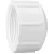 4" Cap PVC Sch. 40 FPT | 448-040