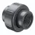 Sch. 80 Gray PVC 2000 Series Union 2" FIPT | 8058-020