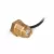 Wall Spout Light, 2 W 2800K LED Oil Rubbed Bronze Solid Brass