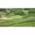 5 lb Bag Low Grow Mix Grass Seed