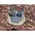 Directional Light, 20 W Bi-Pin GU5.3 MR-16 Halogen Acid Rust Cast Aluminum/Cast Brass
