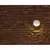 Wall Light, 2 W 2700K/3900K Integrated LED Powder Coated Bronze Metallic Die-Cast Aluminum/Brass Mollu Sque Series Zoning