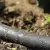 Garden Soaker Hose, 5/8" 50' Vinyl