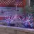 LED Light Burst, 36" Red Pure White Blue Patriotic Low Voltage