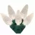 LED Transparent Light Set, Warm White Commercial Grade Mini