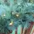 Noble Garland, Warm White 5 mm LED 9" x 14" Mixed | MGARL-9-WW-LED