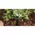 Hunter End Strip Nozzle 5' x 15' | ES515