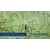 Hunter Nozzle, 8 - 15' 360° Full Circle 0.69 - 1.01 Gpm Olive | MP1000360