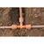 Hunter Locking Tee, Threaded Brown Glass-Filled Polypropylene | PLDLOCTEE