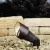 Accent Light, 5 W Bi-Pin MR-16 Incandescent Textured Architectural Bronze Aluminum