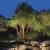 Accent Light, 7.2 W Bi-Pin MR-16 Incandescent Textured Architectural Bronze Aluminum Mini