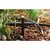 Rain Bird Tubing Stake 1/4" | X54000
