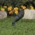 Ceramic MR-16 Standard Black Die-Cast Copper-Free Aluminum 2216 Landscape Series Bullet/Round Minilite Up and Accent Light | VISGR2216BNL
