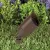 4.5 W MR-16 3000K LED Standard Black Die-Cast Copper-Free Aluminum Landscape 5006 Series 36 Degrees Flood Beam Up and Accent Light | VISGR5006B45W36
