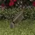 2.5 W 3000K Integrated LED Olde Brass Die-Cast Copper-Free Aluminum Landscape 5014i Series Up and Accent Light | VISGR5014IBSO2W3