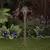 2.5 W T3 LED Olde Brass Die-Cast Copper-Free Aluminum Landscape Series 2265 Model Path Light | VISPR2265BSO25WT