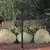 10 W Ceramic T3 Halogen Standard Black Die-Cast Copper-Free Aluminum Landscape Series 9217 Model Tall Path Light | VISPR9217B