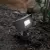 2 - 16 W 3000K LED Black Aluminum Wall Wash Luminaire | WAC502130BK