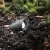 7 W 3000K LED Black Aluminum Mini Landscape Accent Luminaire | WAC511130BK