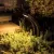 3 W 3000K LED Bronze Aluminum Small Slide Path Light | WAC631130BZ