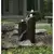 Mongolian Basalt Column Landscape with Set of 3 Fountain Kit | AQS58089