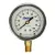 0 to 160 psi 2-1/2" Dial 1/4" NPT Liquid Filled Pressure Gauge | CSTTGLF16025
